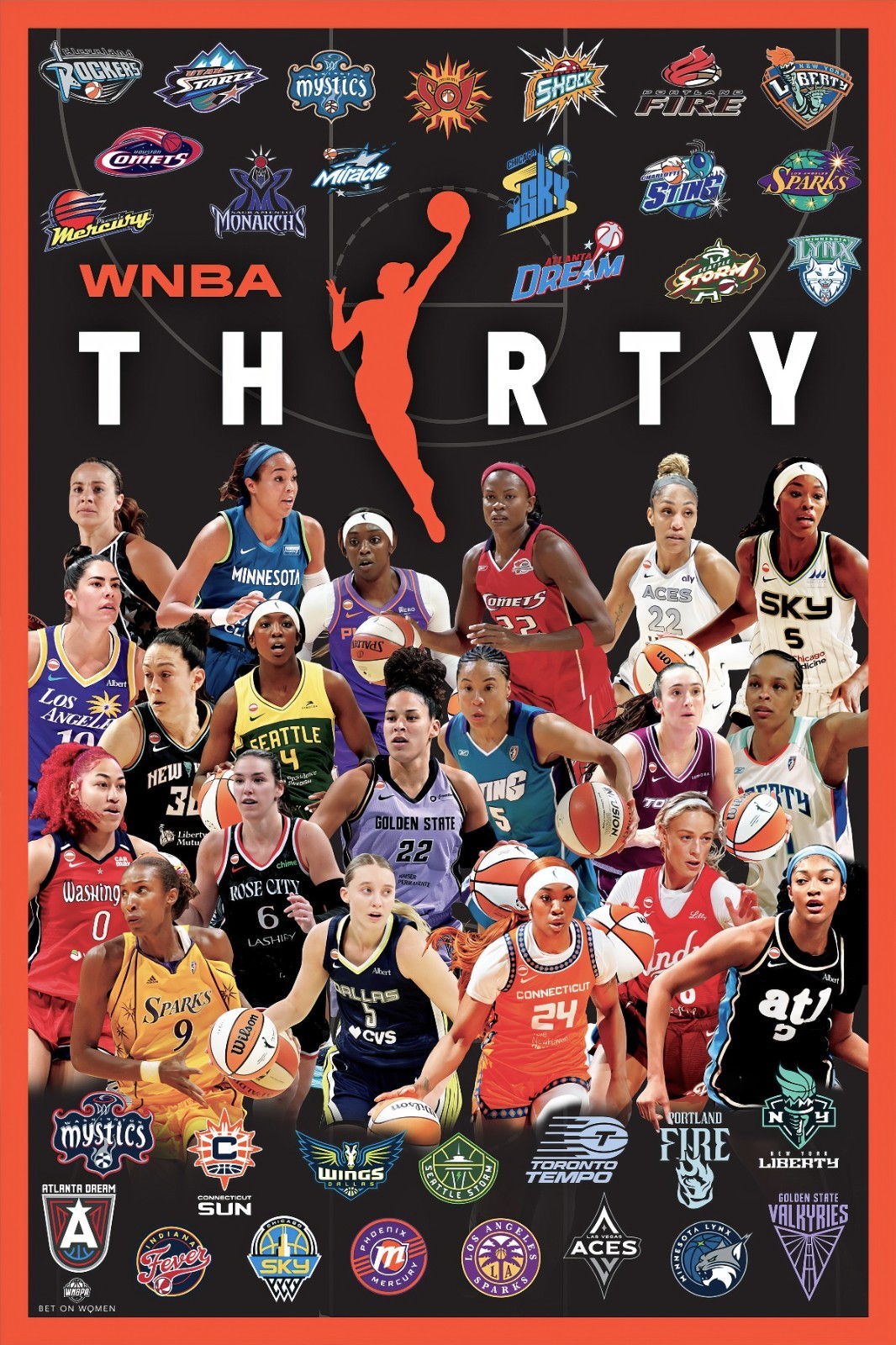 NEW Wnba 30th anniversary poster