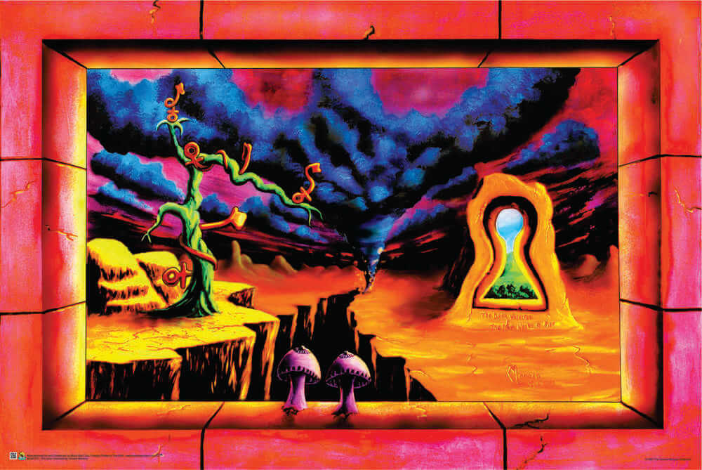 The Door Unlocked by Vincent Monaco – Non-Flocked Blacklight Poster 36″ x 24″