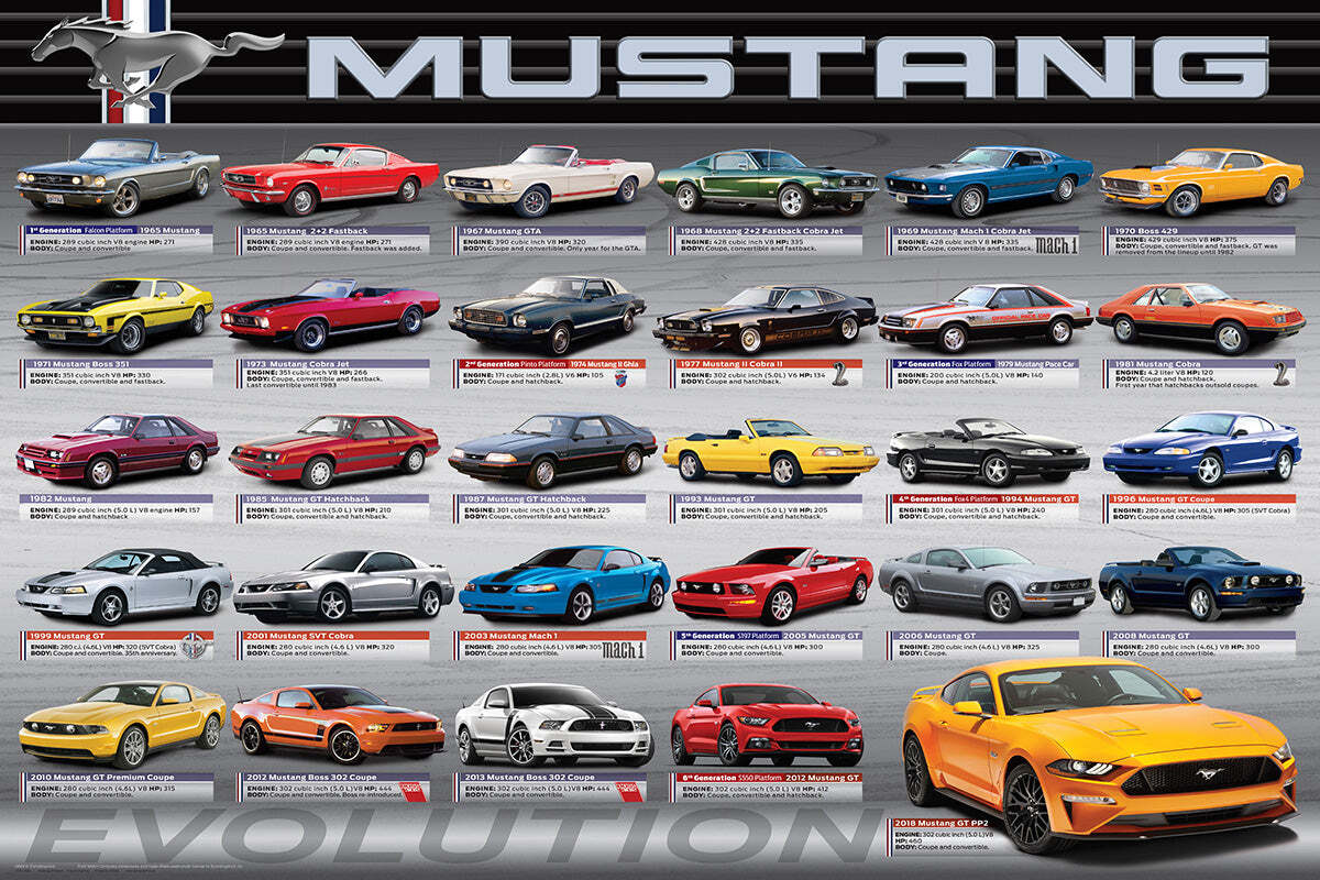 FORD MUSTANG EVOLUTION American Muscle Car History 29 Models 24×36 POSTER