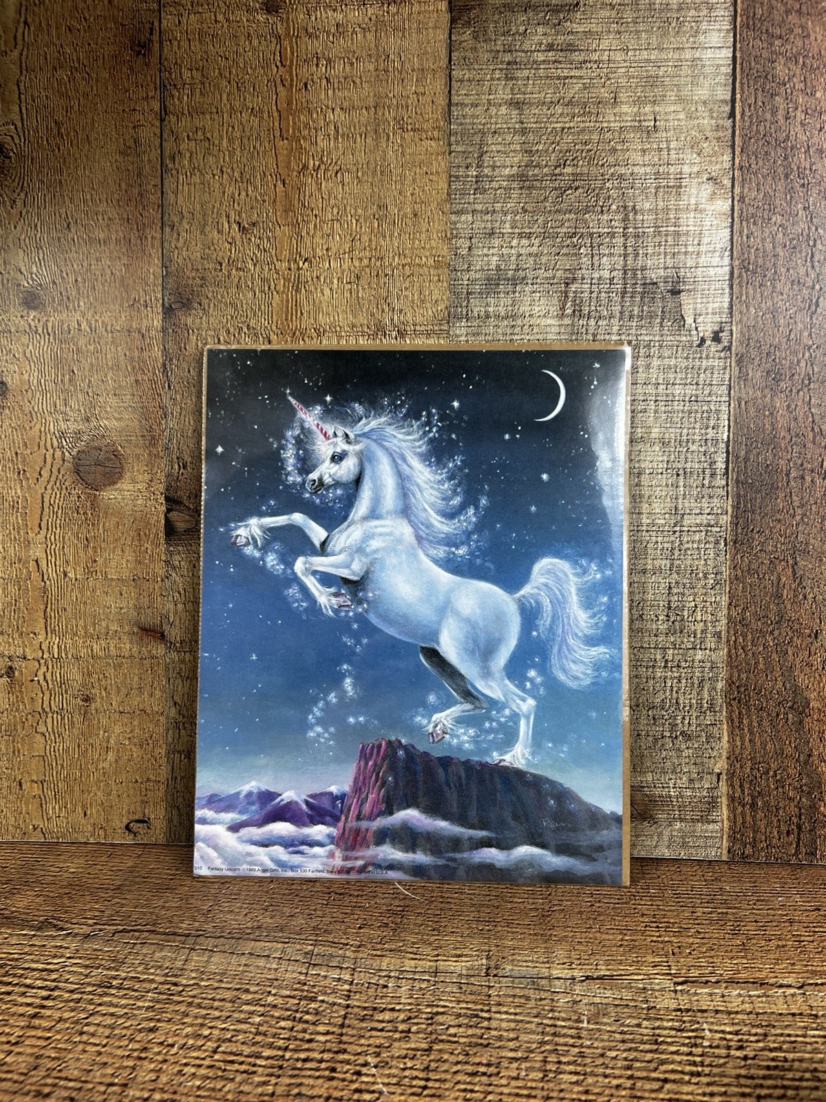 8”x10” Print Of 1989 Rein: FANTASY UNICORN New Old Stock