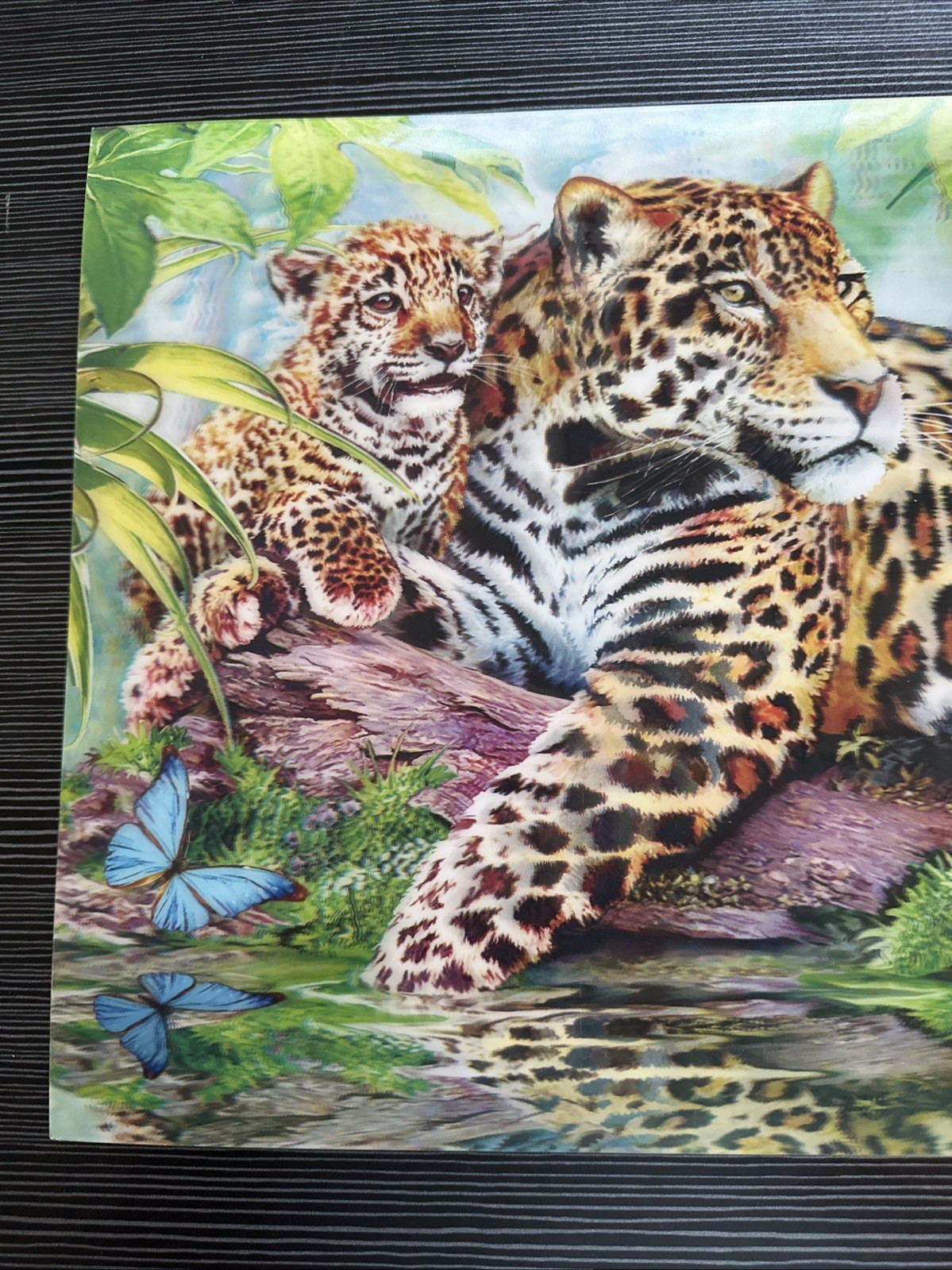 “Jaguars By The Pool” Howard Robinson 2014 3D Poster 15.5X12”