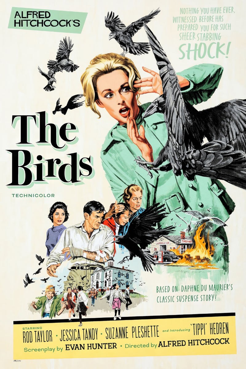 The Birds Movie Poster 27×40 27″x40″ USA Ships Rolled Poster