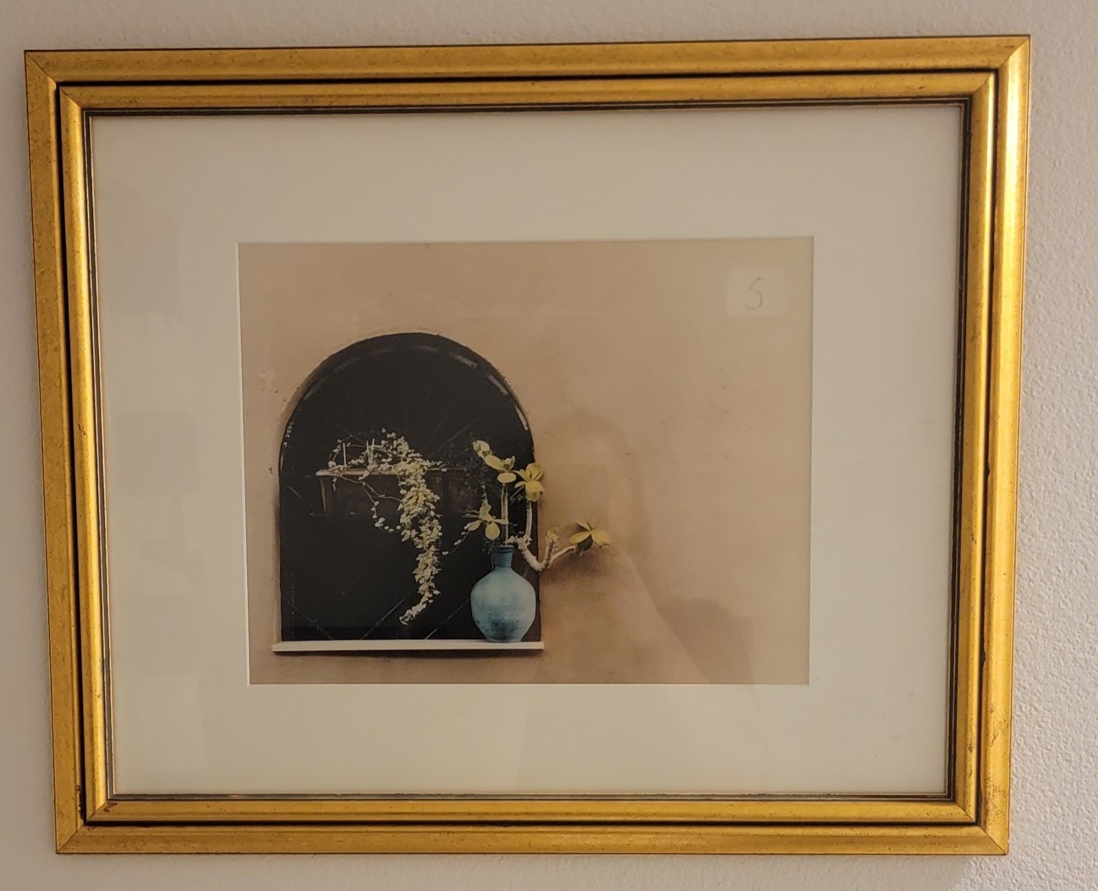 Allan Teger Framed Colored Photographs – 23in X 18 in Gold Rim Frame