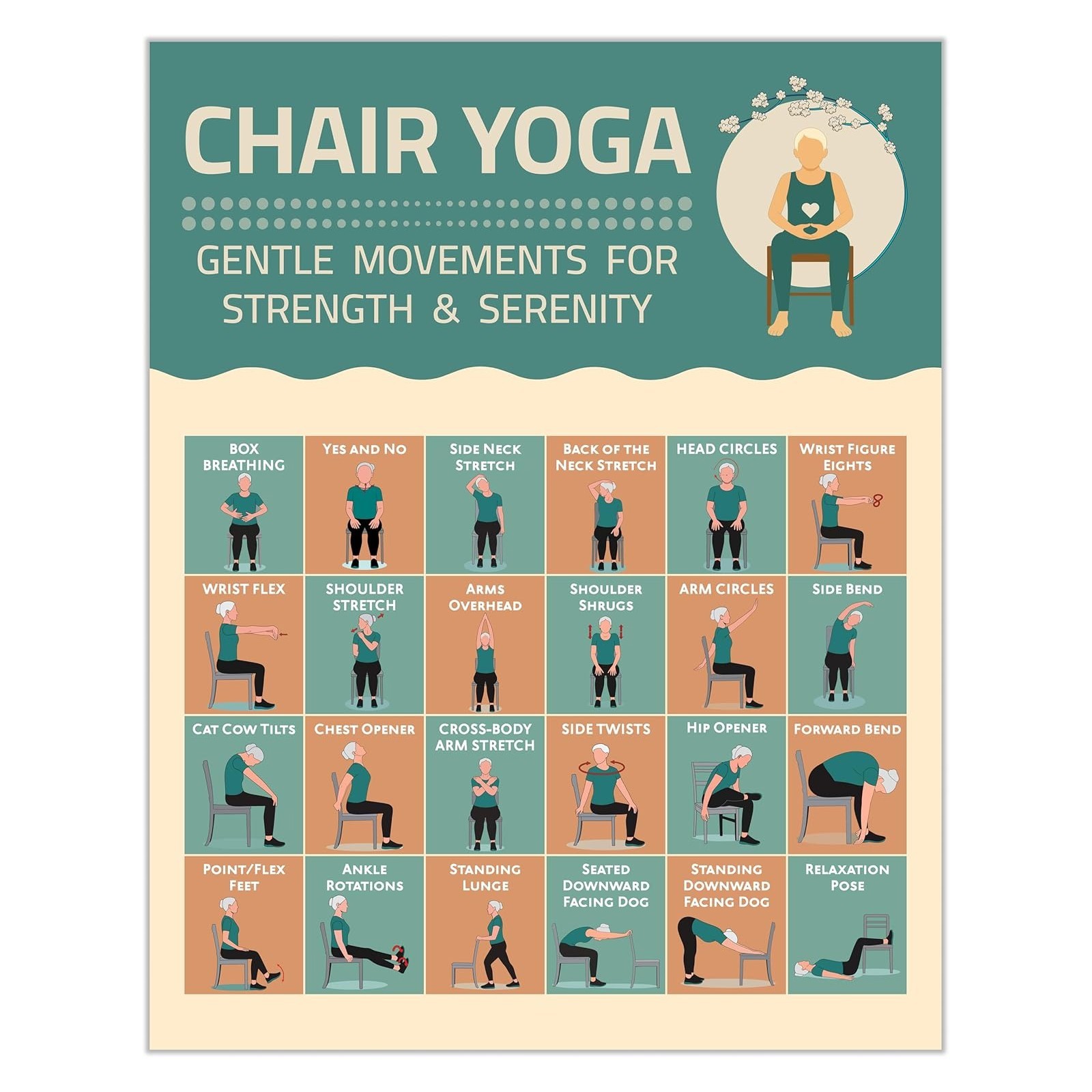 Chair Yoga Exercise Poster – Illustrated Stretching Poses Chart