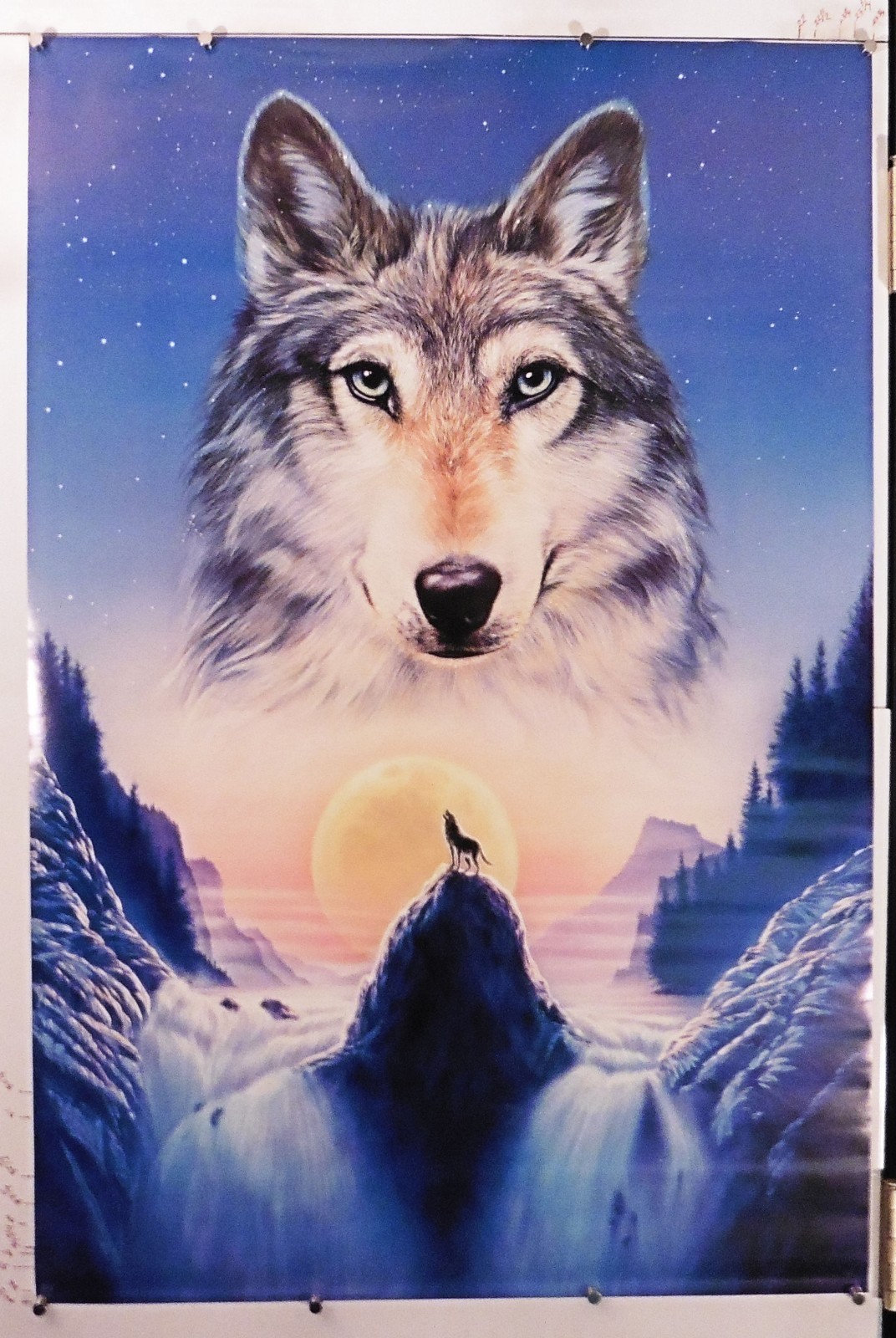 Cosmic Wolf vintage poster 24.25″ X 36.25″ NOS (b521)