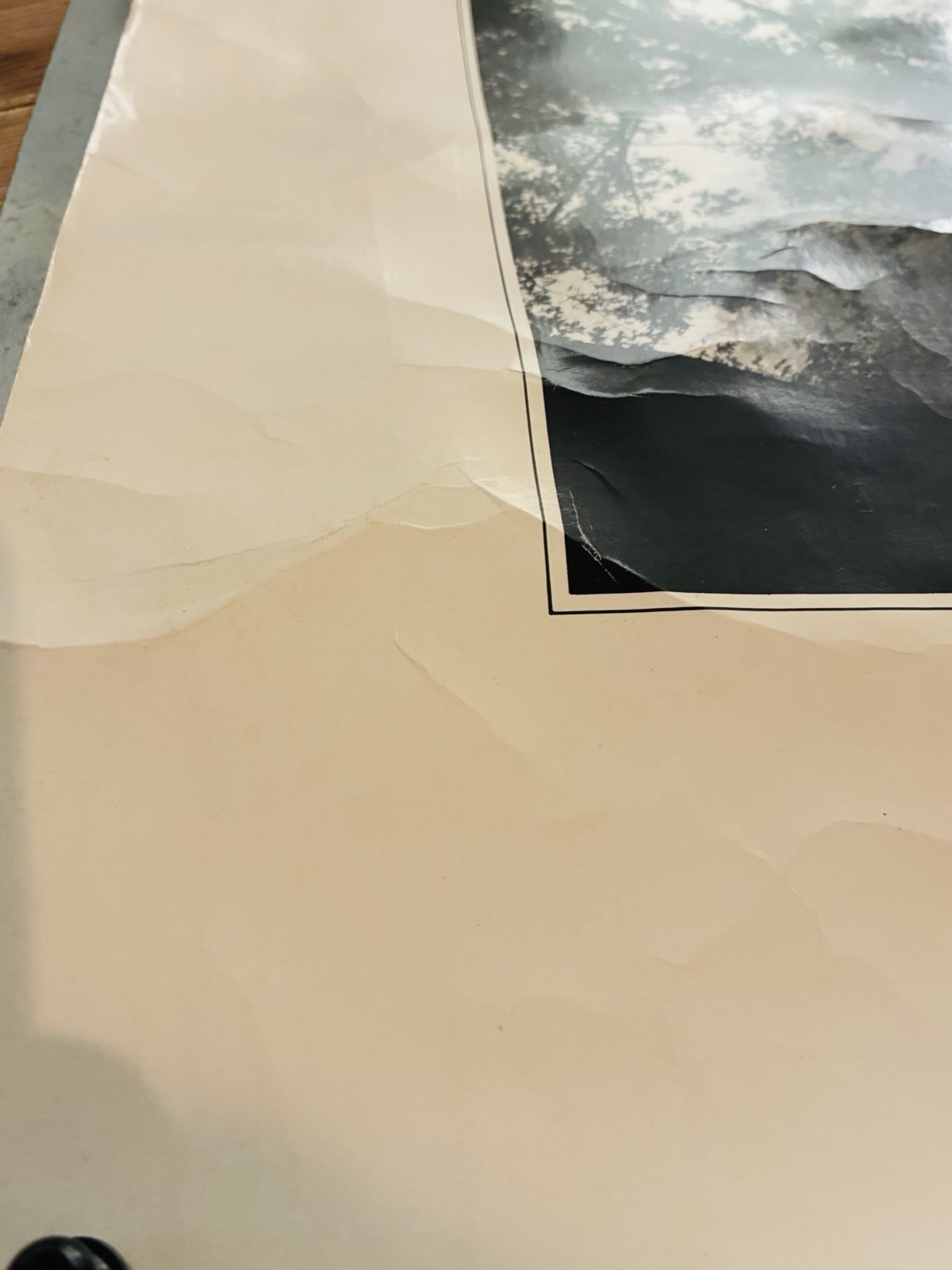 Clyde Butcher A Silver Reflection Poster Print On Heavy Card Stock 1989 Vintage