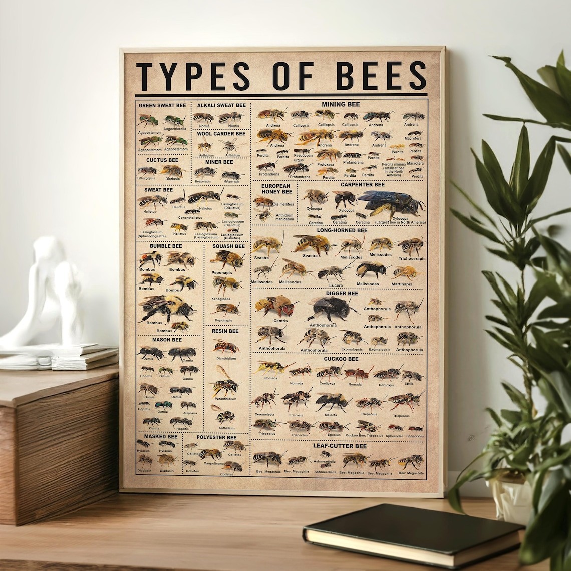 Types Of Bees Vintage Poster, Bee Lover Gift, All About Bee, Vintage Knowledge