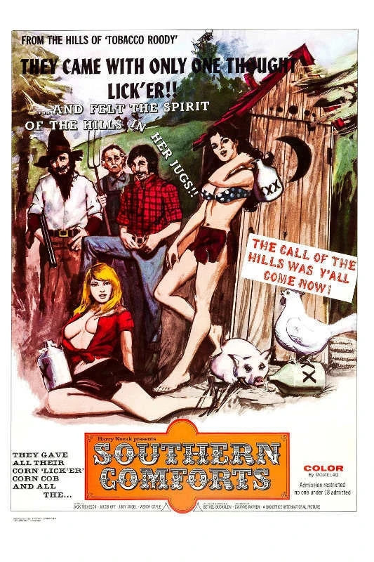 1971 SOUTHERN COMFORTS VINTAGE ADULT FILM MOVIE | POSTER 24 X 16 Inches | Sweet!