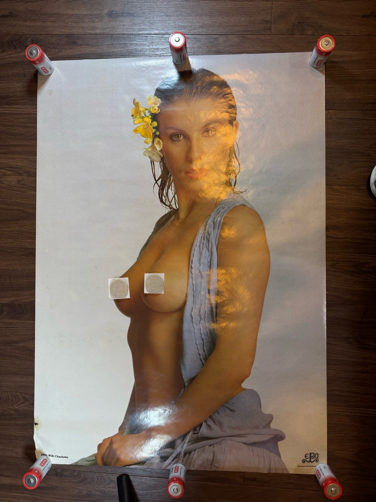 Vintage EPG Poster – Charlotte” EPG 056. Measures 33.5 x 23.5