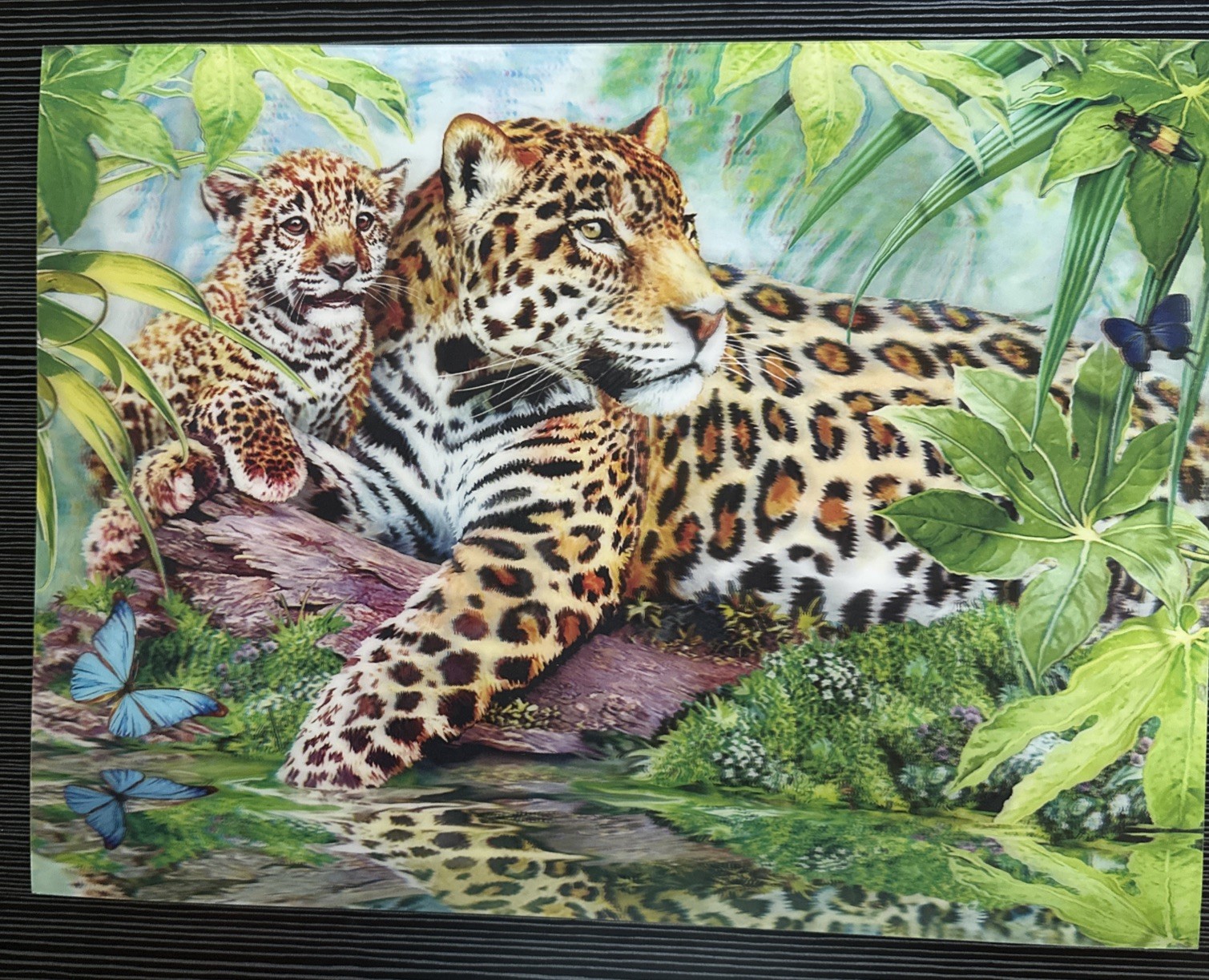 “Jaguars By The Pool” Howard Robinson 2014 3D Poster 15.5X12”
