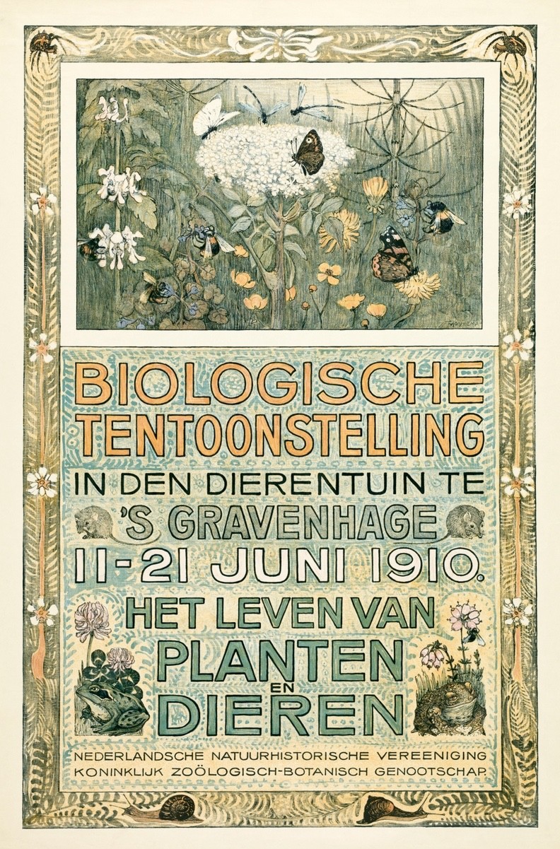 Theo van Hoytema 1910 Biological Exhibition Dutch Art Nouveau Art Print Poster
