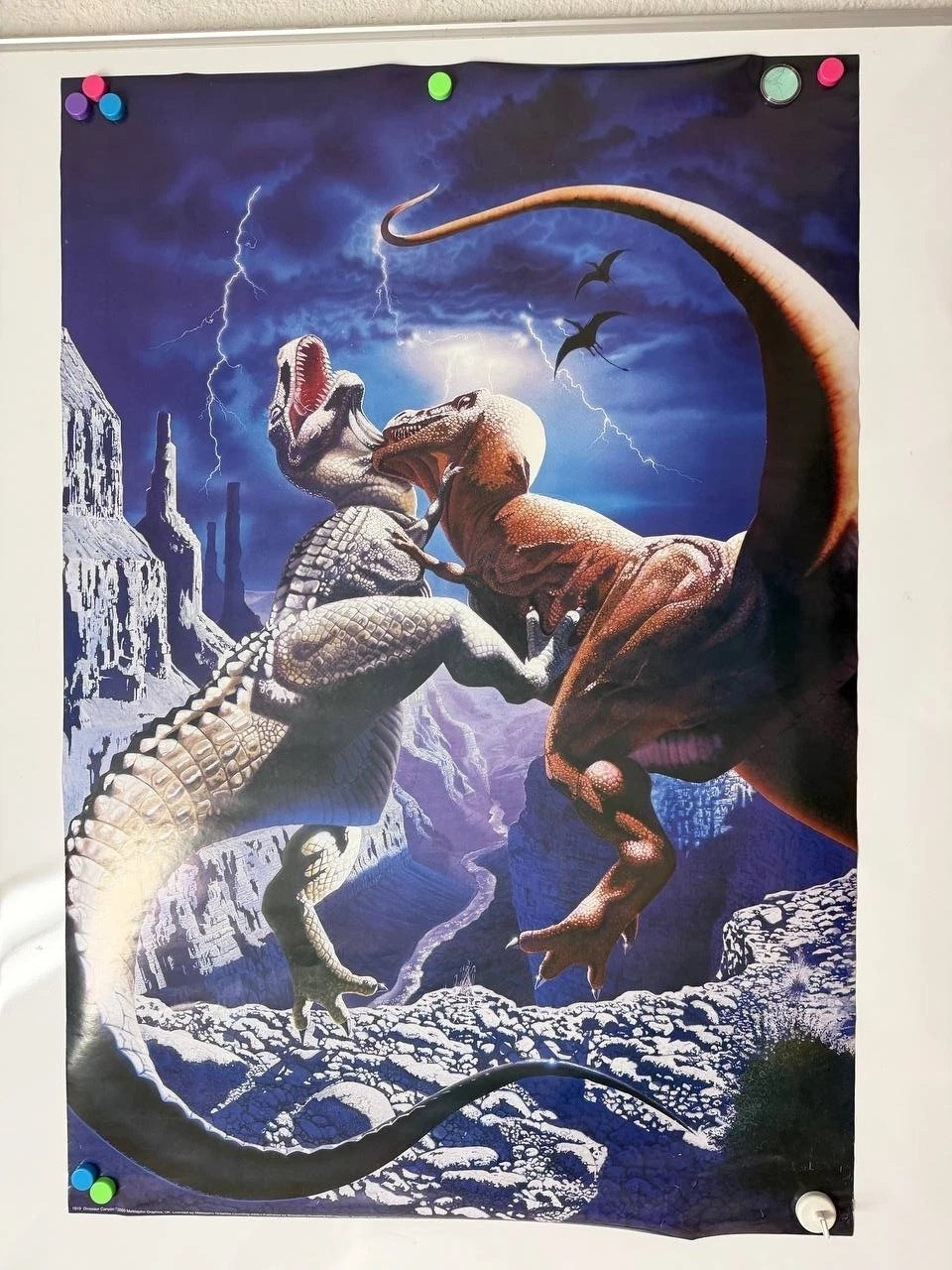 Vintage 2000 Dinosaur Canyon T-Rex Poster Meiklejohn Graphics UK No 1519