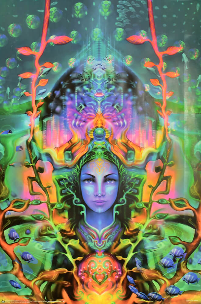 Ocean Goddess by Fabian Jimenez Non-Flocked Blacklight Poster 24″ x 36″