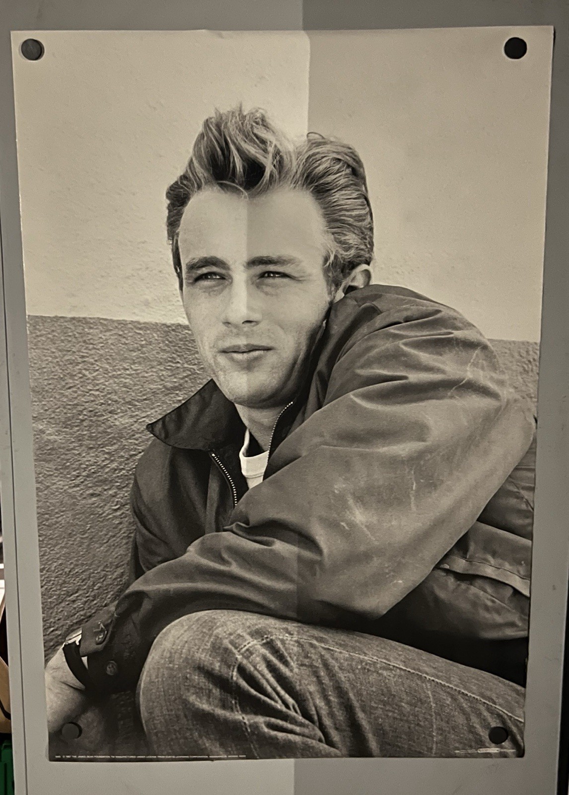 Lot Of 3 James Dean Door Panel Poster New Unhung Scandecor 1980s 26×74 & 27×39