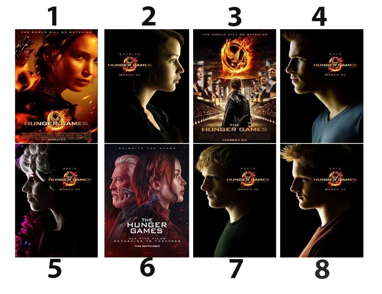 The Hunger Games Poster, Wall Art