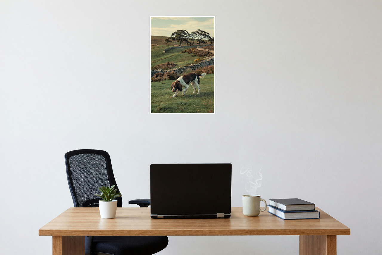 English Springer Spaniel Hunting Countryside 12×18 Poster