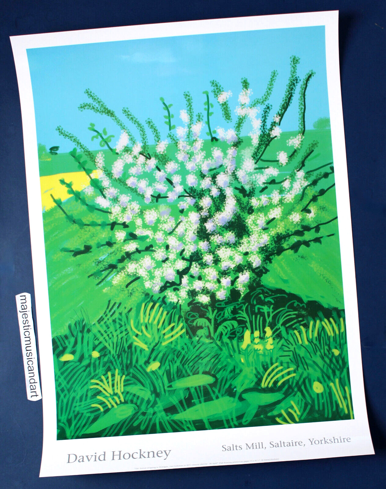 DAVID HOCKNEY 2011 SPRING EXHIBITION POSTER