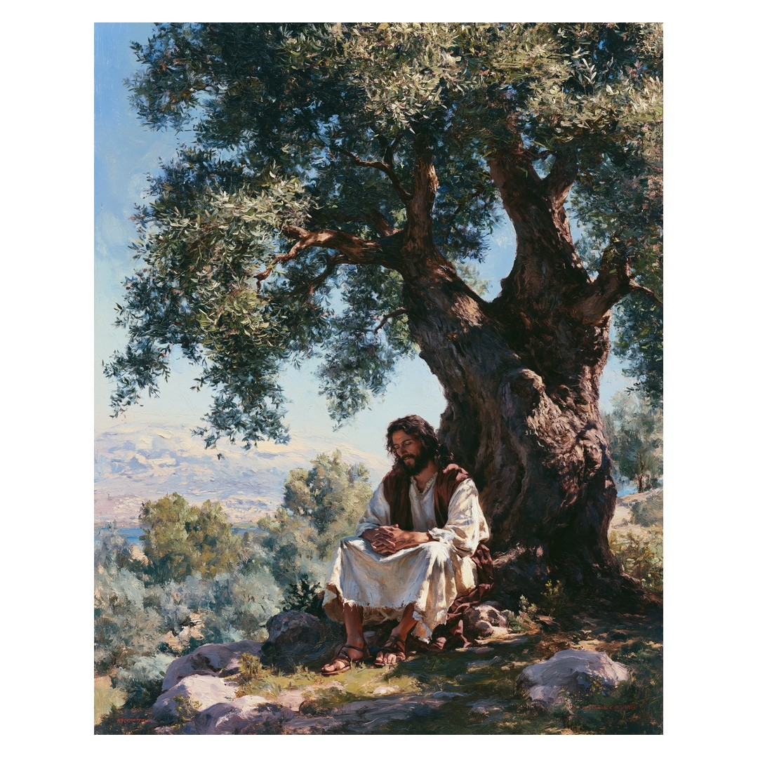 Contemplative Figure Under Olive Tree Poster | Serene Wall Art | Living Room