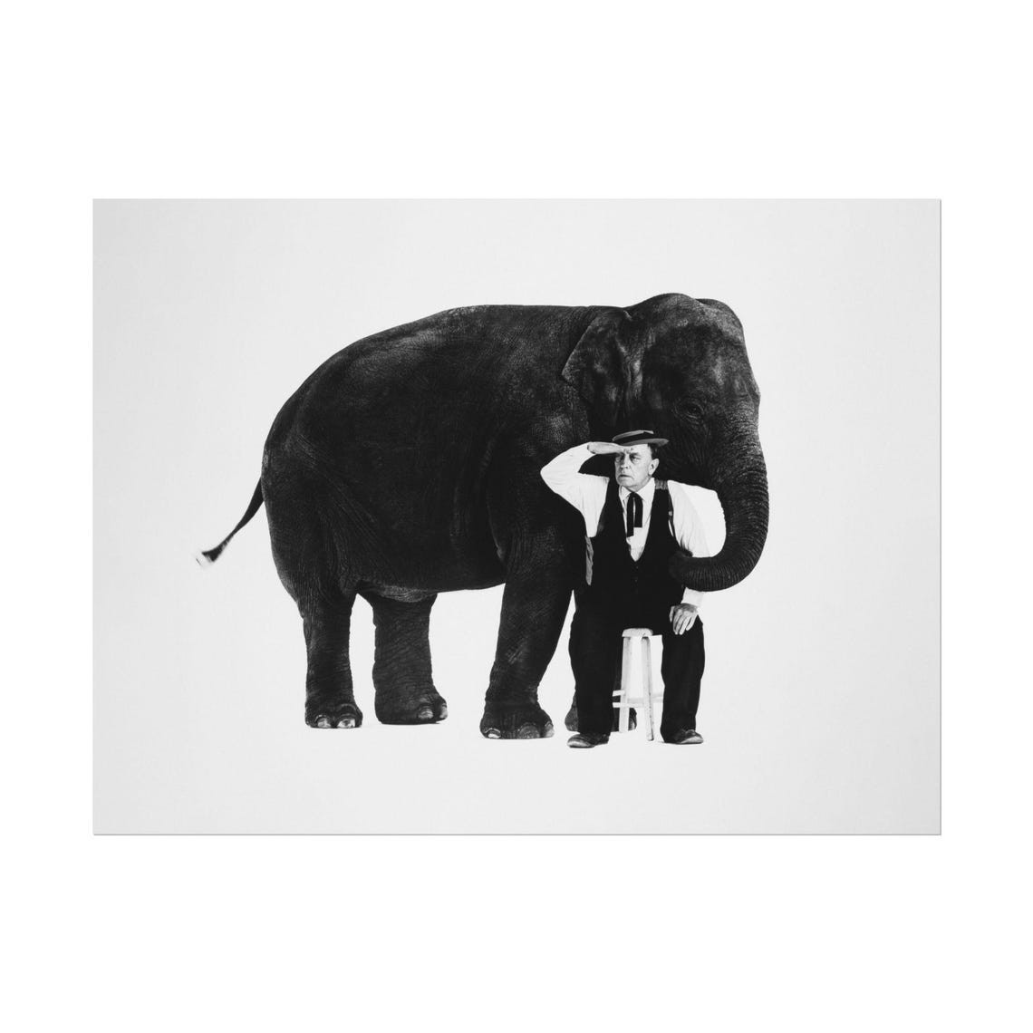 Buster Keaton What Elephant 1964 Photo Poster Art Unframed 24×36