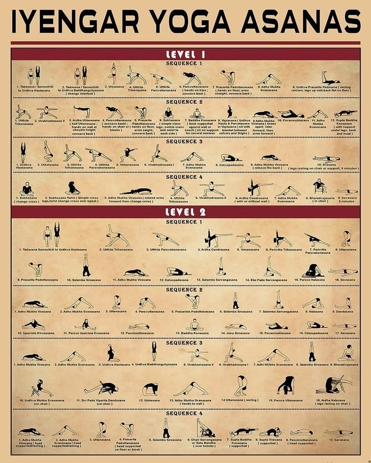 Iyengar Yoga Asanas Chart Level 1 & 2 Sequences Yoga Studio Guide Poster
