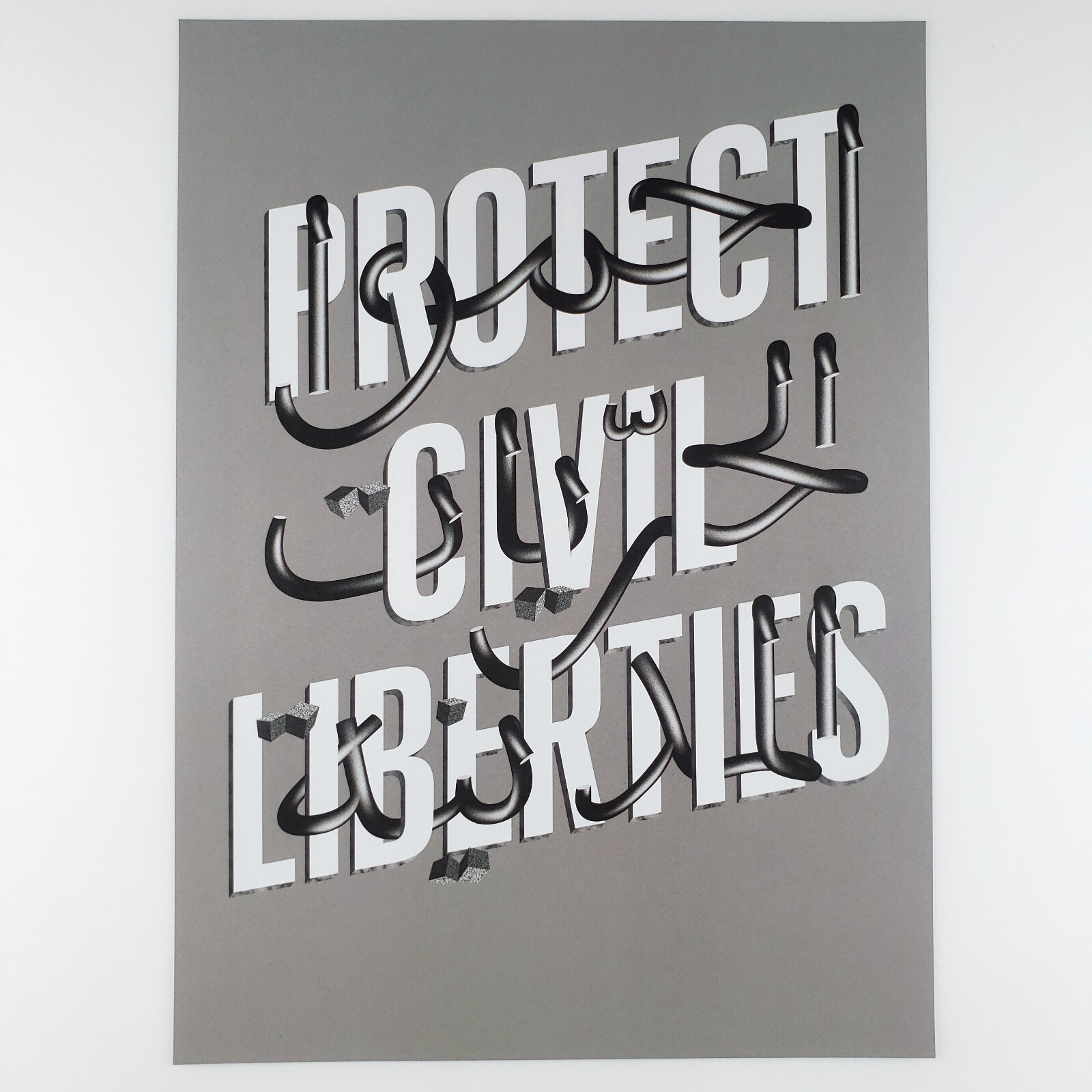 Protect Civil Liberties Poster 10×13 Egyptian Social Justice Political Art B496