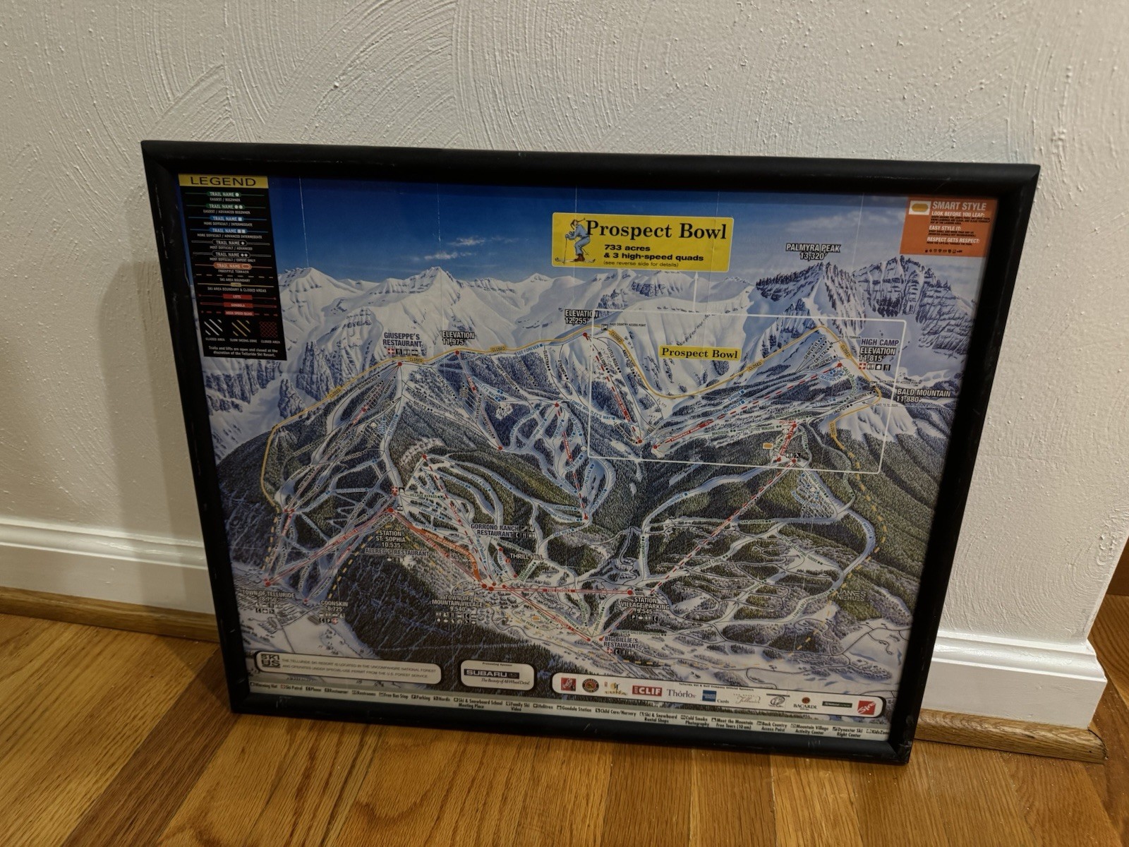 Early 2000s Prospect Bowl Telluride Colorado Framed 2004 Ski Resort Map