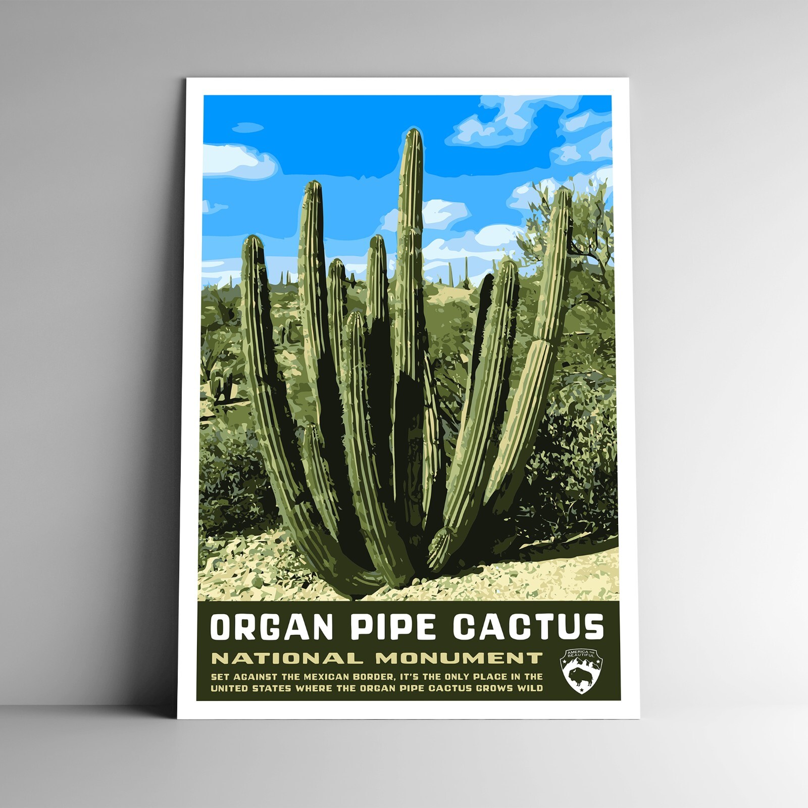 Organ Pipe Cactus National Monument Travel Poster / Postcard USA Many Sizes