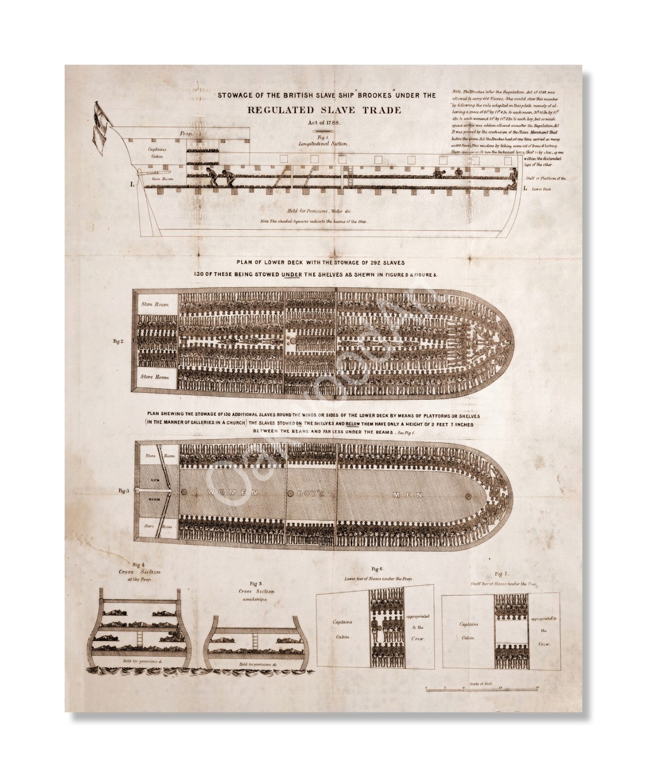 Brookes 1788 Slave Ship Poster, Art Print Reproduction