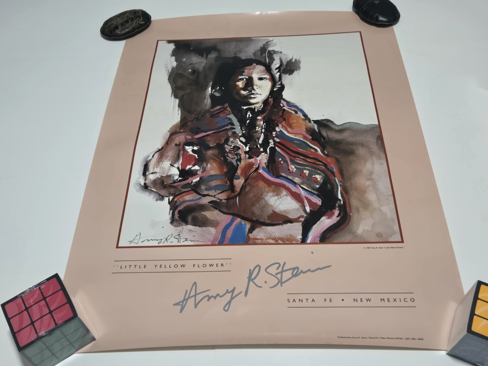 Amy R. Stein “Little Yellow Flower” New Mexico 1987 Poster 21×28 SIGNED Rare!