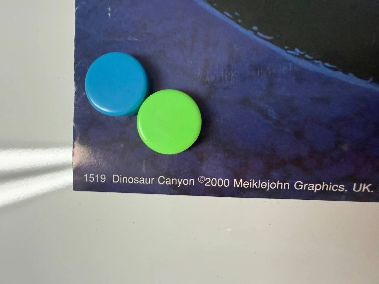 Vintage 2000 Dinosaur Canyon T-Rex Poster Meiklejohn Graphics UK No 1519