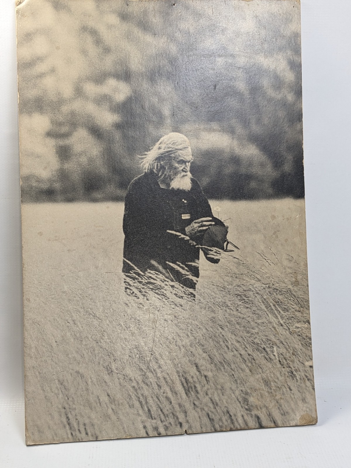 VTG Joe Covello Photography Print 12×18 Unframed Art Old Man Field Studio One