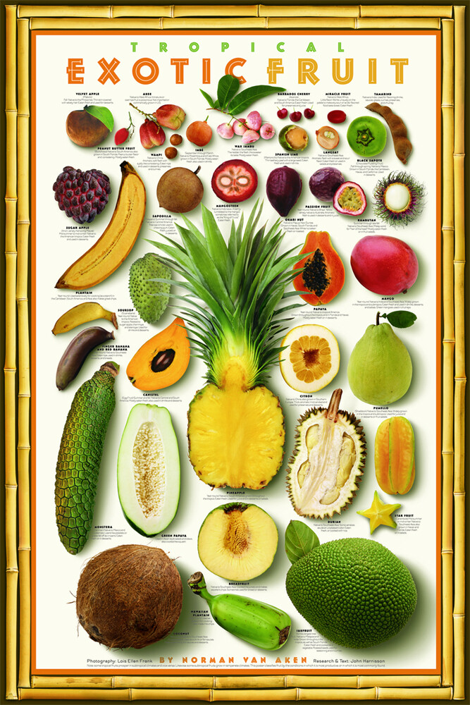 TROPICAL EXOTIC FRUITS 24×36 Kitchen Restaurant WALL POSTER by Norman Van Aken