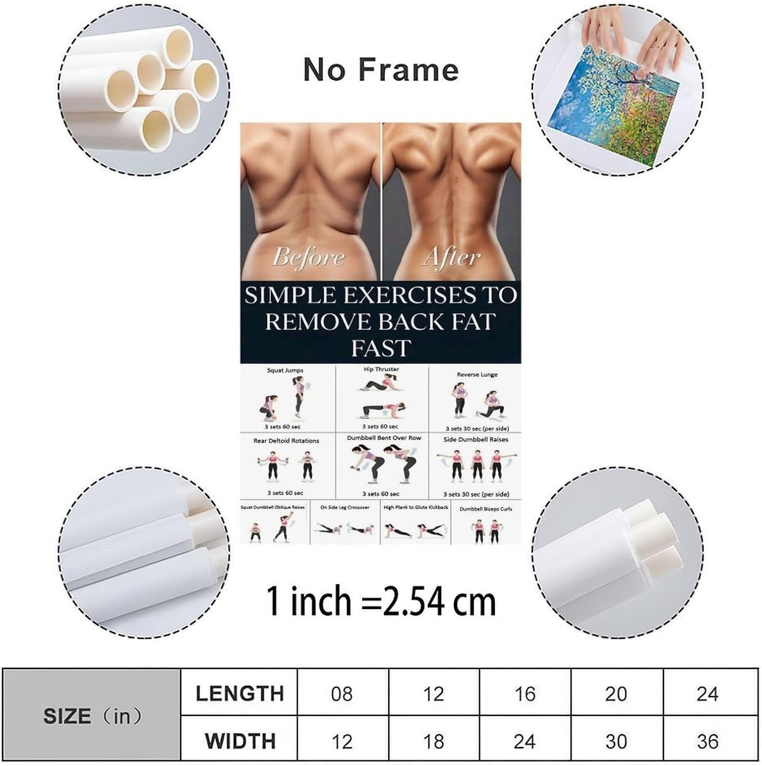 Back Workout Exercise Guide Poster Home Gym Fitness Wall Art