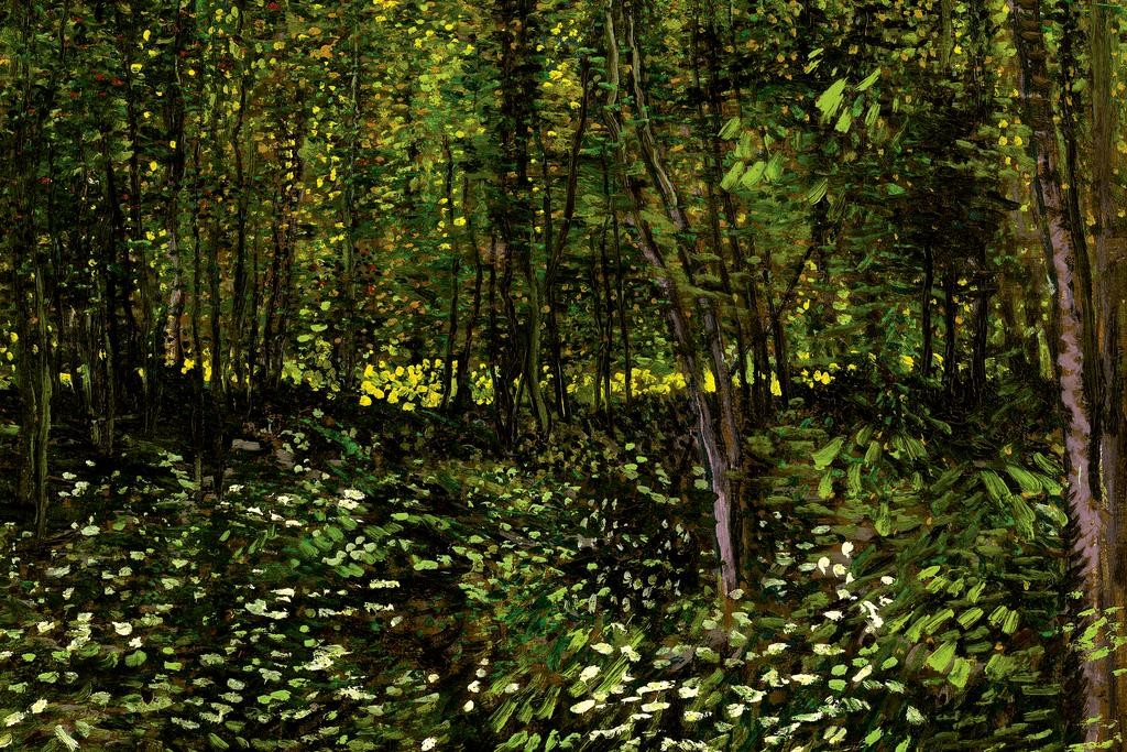 Vincent van Gogh Trees and Undergrowth Forest Laminated Poster 24×36