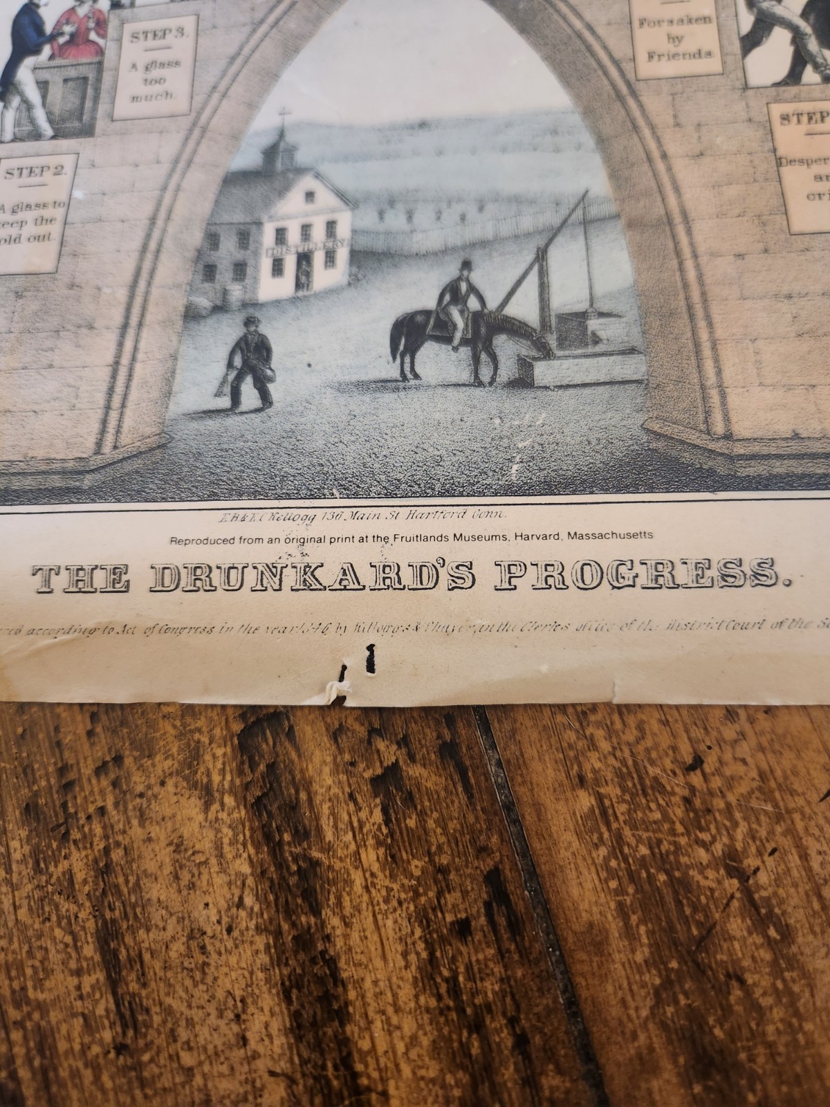 The Drunkards Progress Museum Reprint