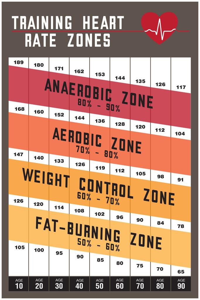 Laminated Heart Rate Chart Poster Fitness Target Variability Training Zones Exer