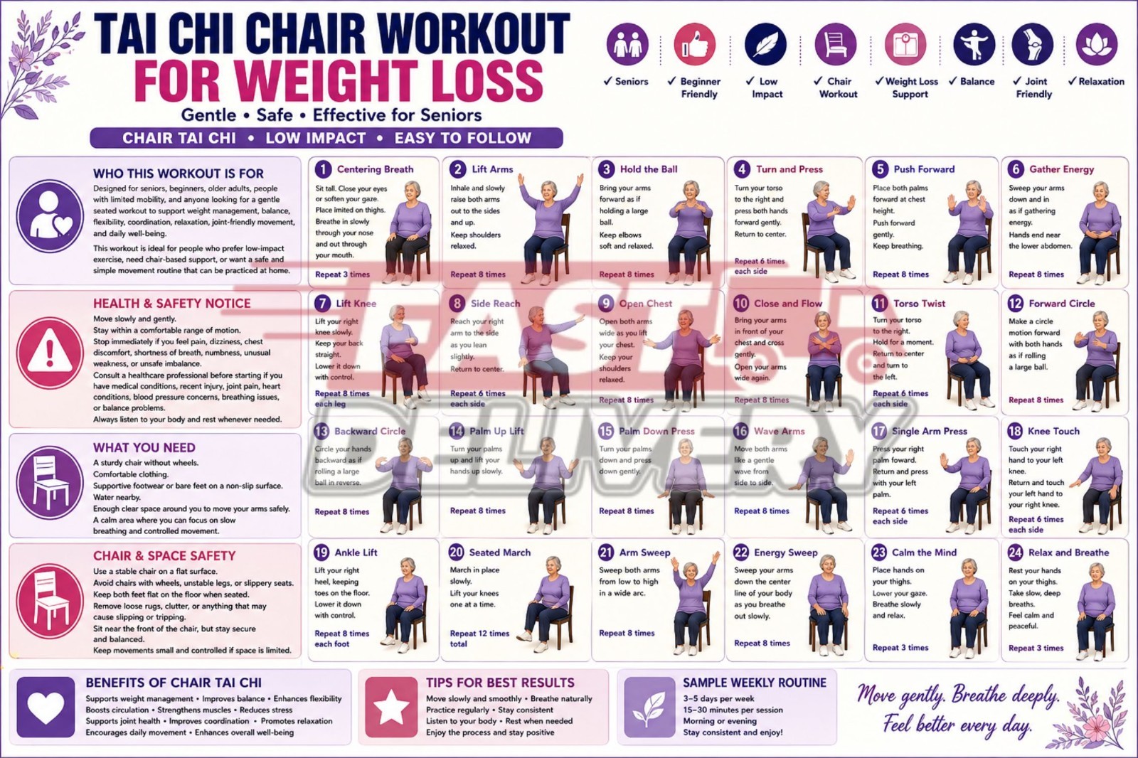 30 Day Chair Tai Chi Workout Weight Loss Senior Wellness Printable Guide Poster