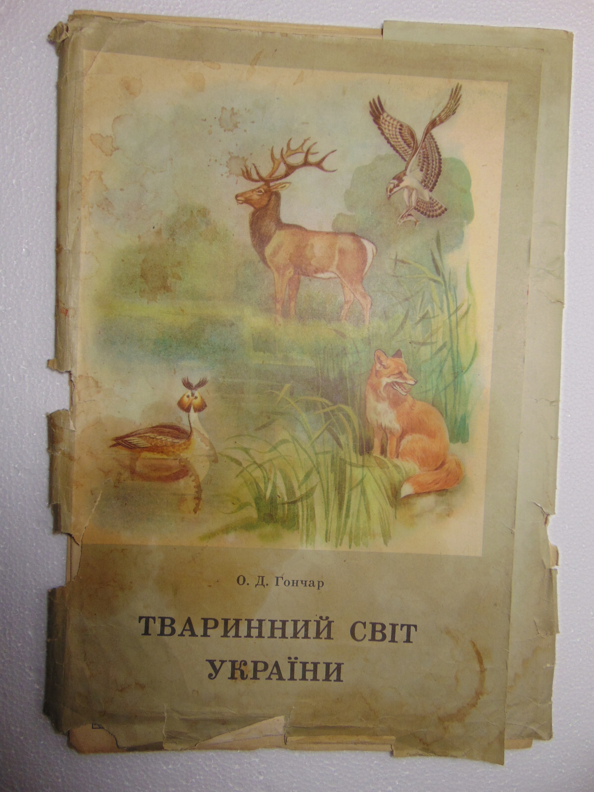 Original Soviet Poster Ukraine Bird Animals Reserve Wildlife Save Nature vintage