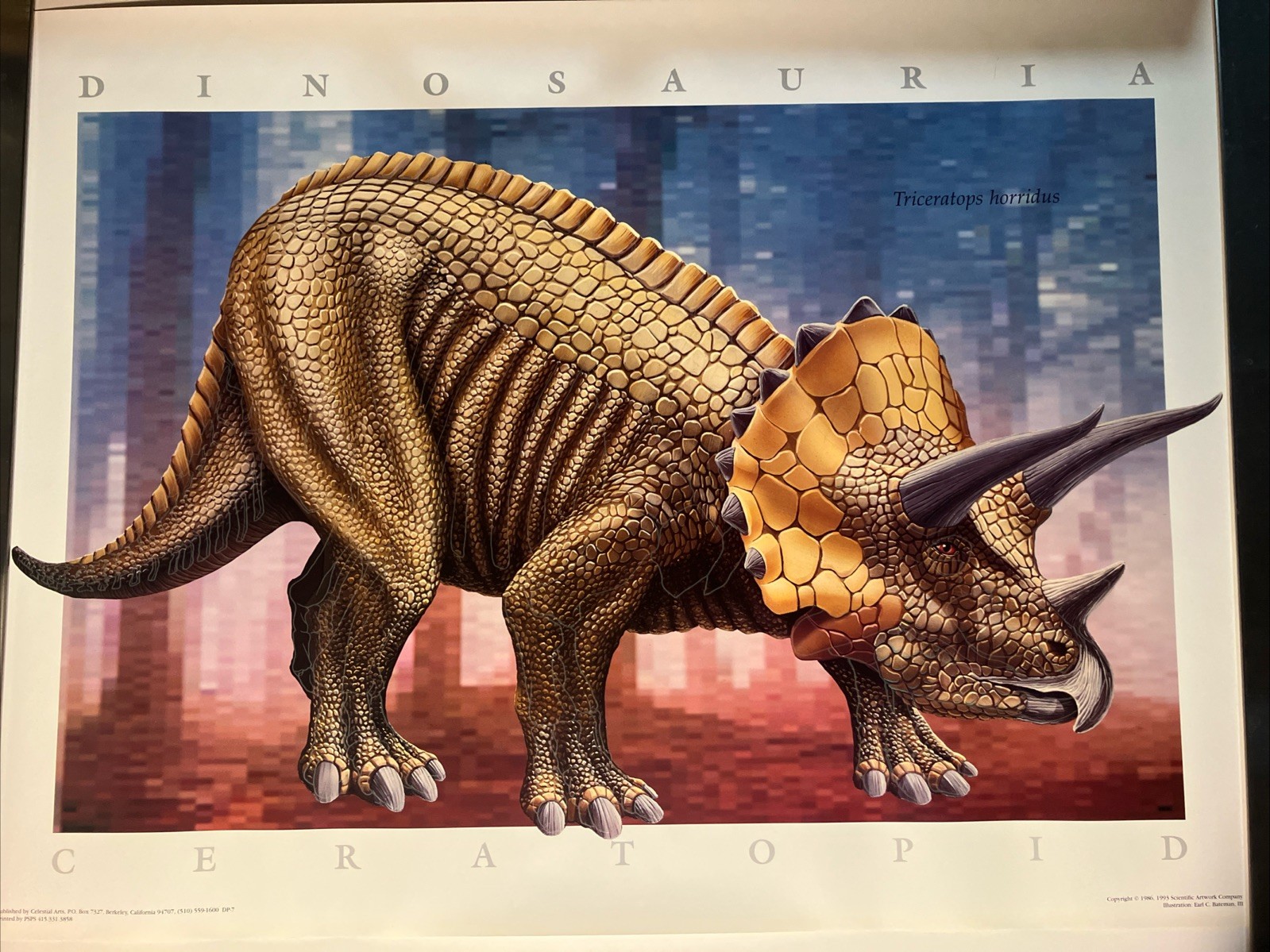 Dinosauria Ceratopid Poster 1993 Rolled 24″x33″ Art By Earl C.Bateman III +Bonus