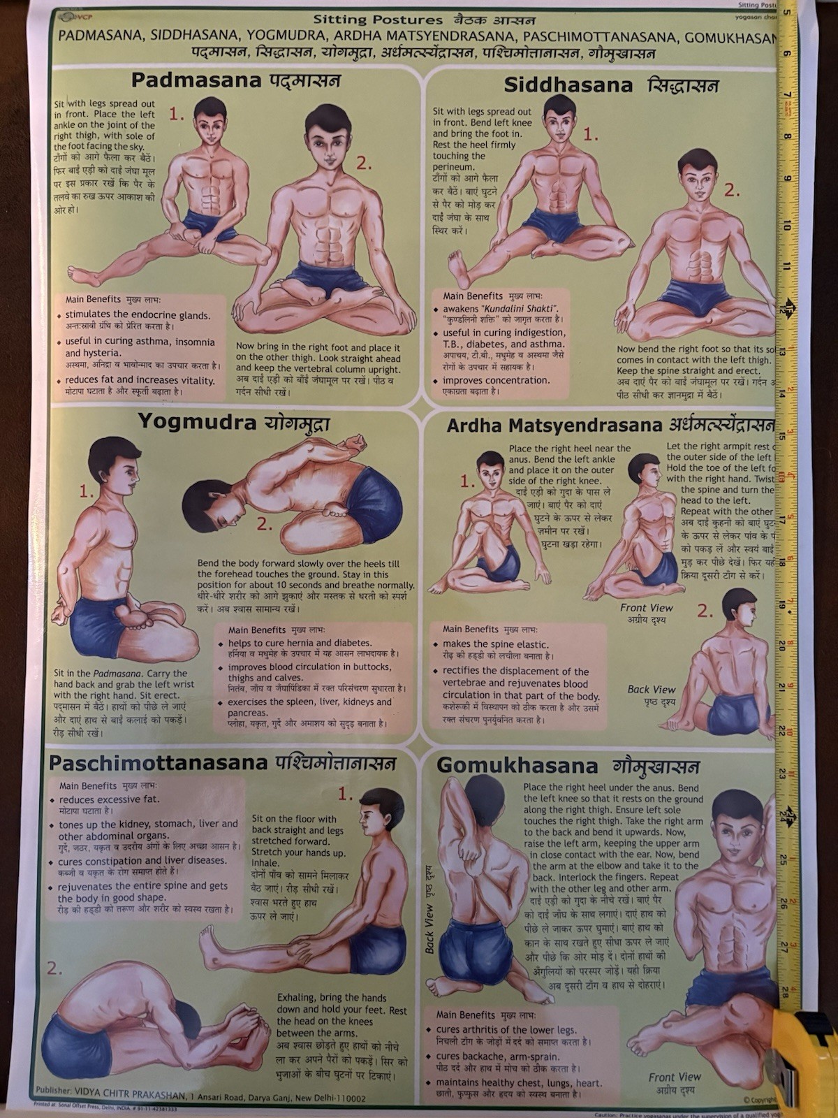 7-Yoga Asana Chart Posters