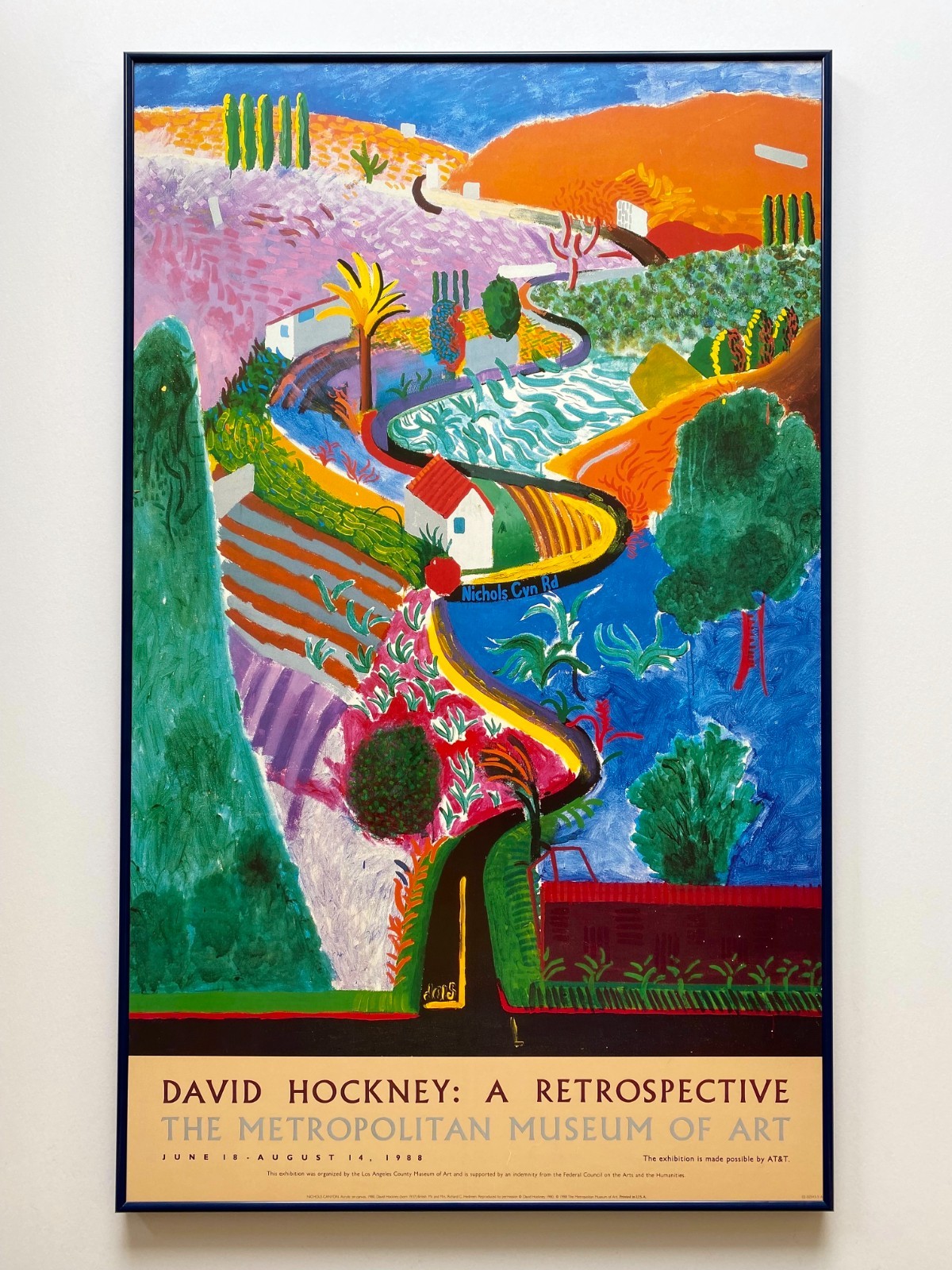 DAVID HOCKNEY RARE 1988 LITHOGRAPH PRINT FRAMED EXHBT POSTER “NICHOLS CNYN” 1980