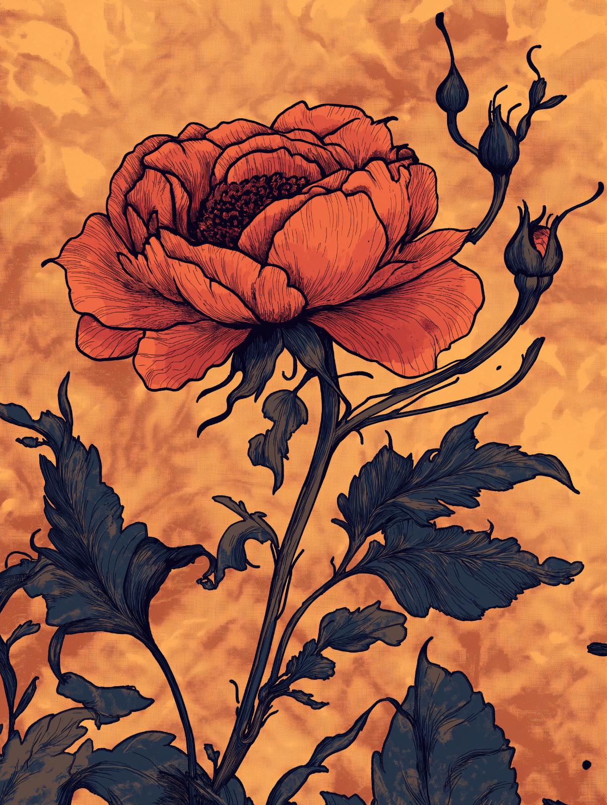 Orange Peony Floral Vintage Botanical Poster 18x24in