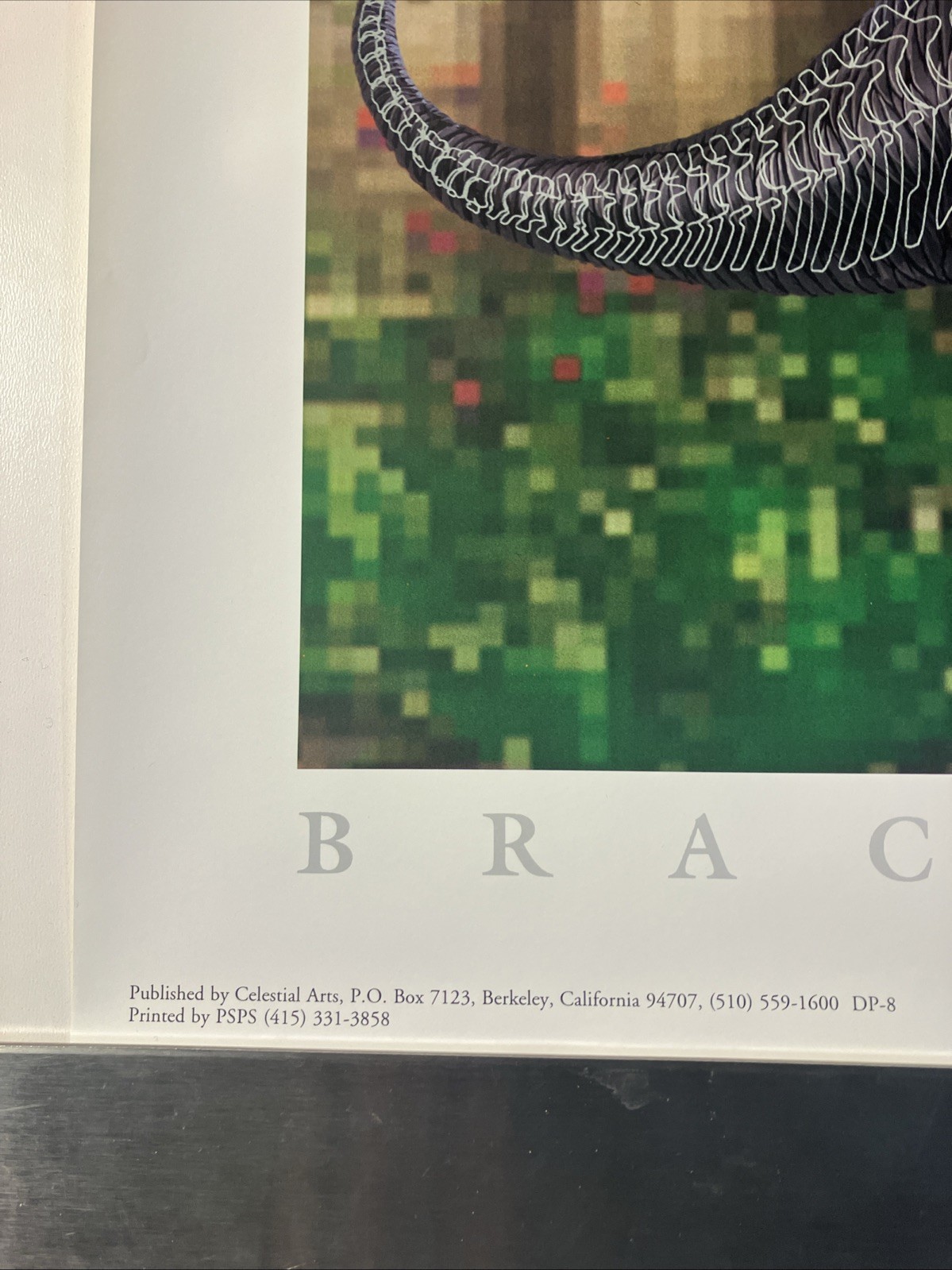 Dinosauria Brachiosaurid Poster Art By Earl C. Bateman III 1993 Rolled 24″x33″ +