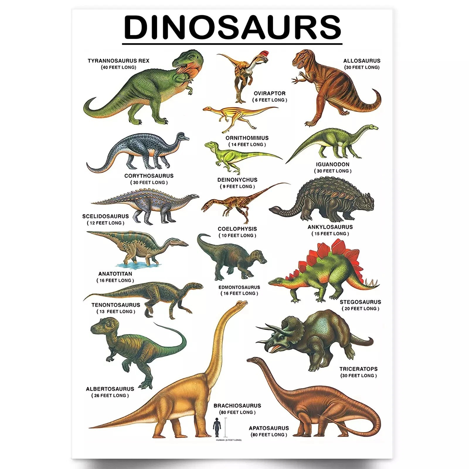 Dinosaurs Educational Chart Prehistoric Animal Poster Wall Art