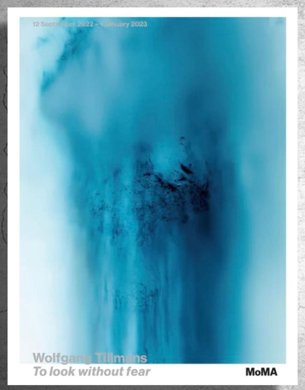 Wolfgang Tillmans Poster Freischwimmer 230, 2012 Art