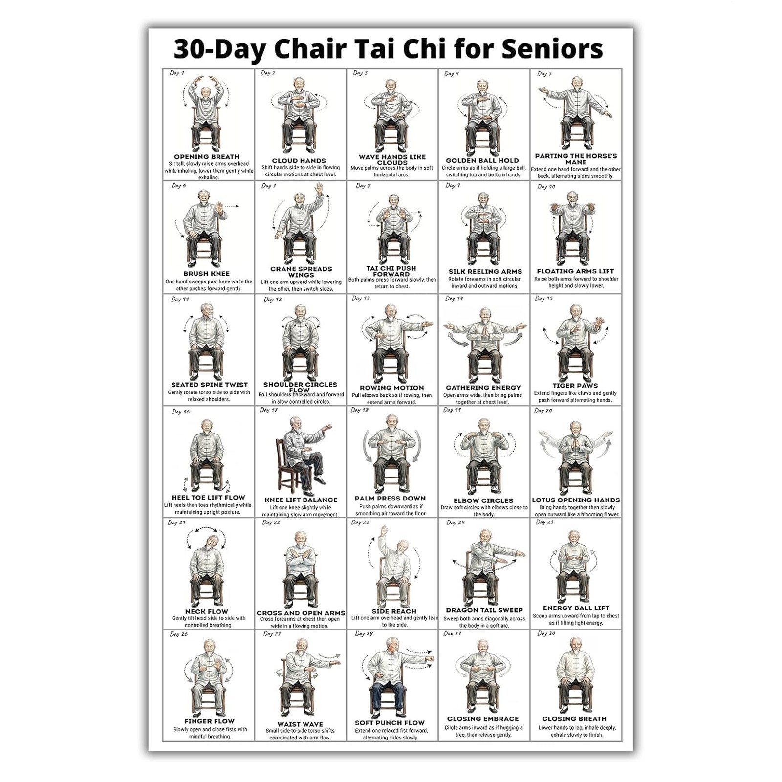 Tai Chi Chair Workout Chart Poster Seated Exercise Guide for Seniors & Beginners