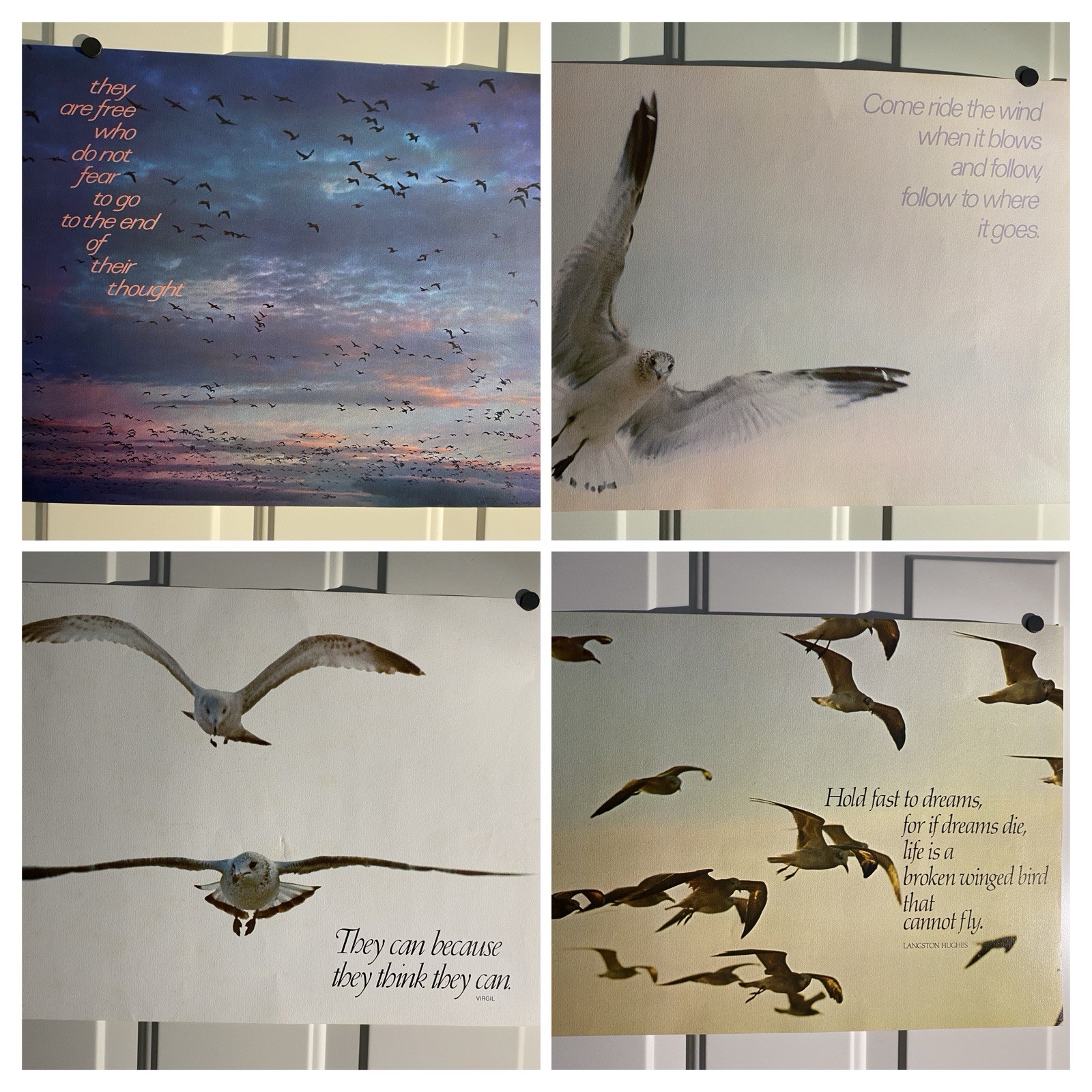 4 1970’s 21×14 Argus Educational Inspirational Posters Birds in Flight