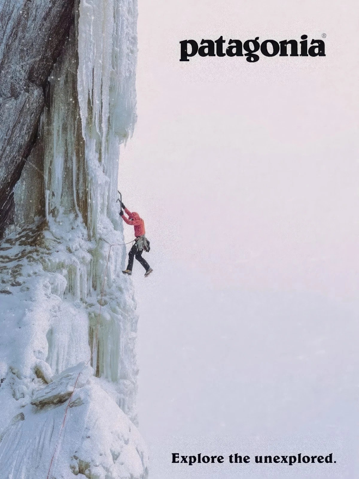 Patagonia Advertisement Vintage Poster