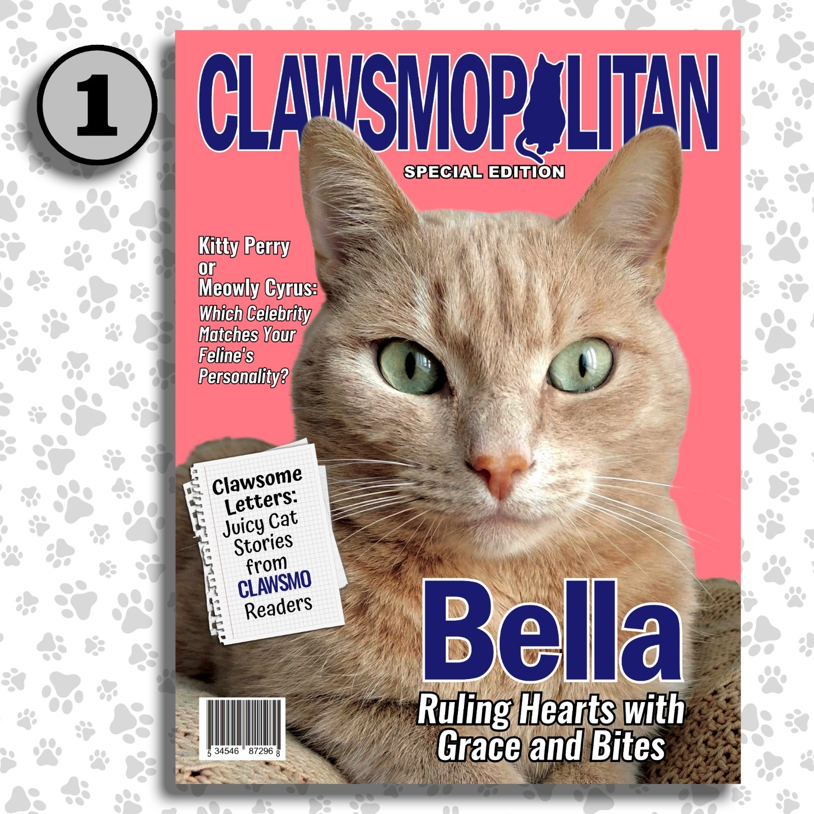 Custom-made cover of Clawsmopolitan magazine, your cat on poster or canvas