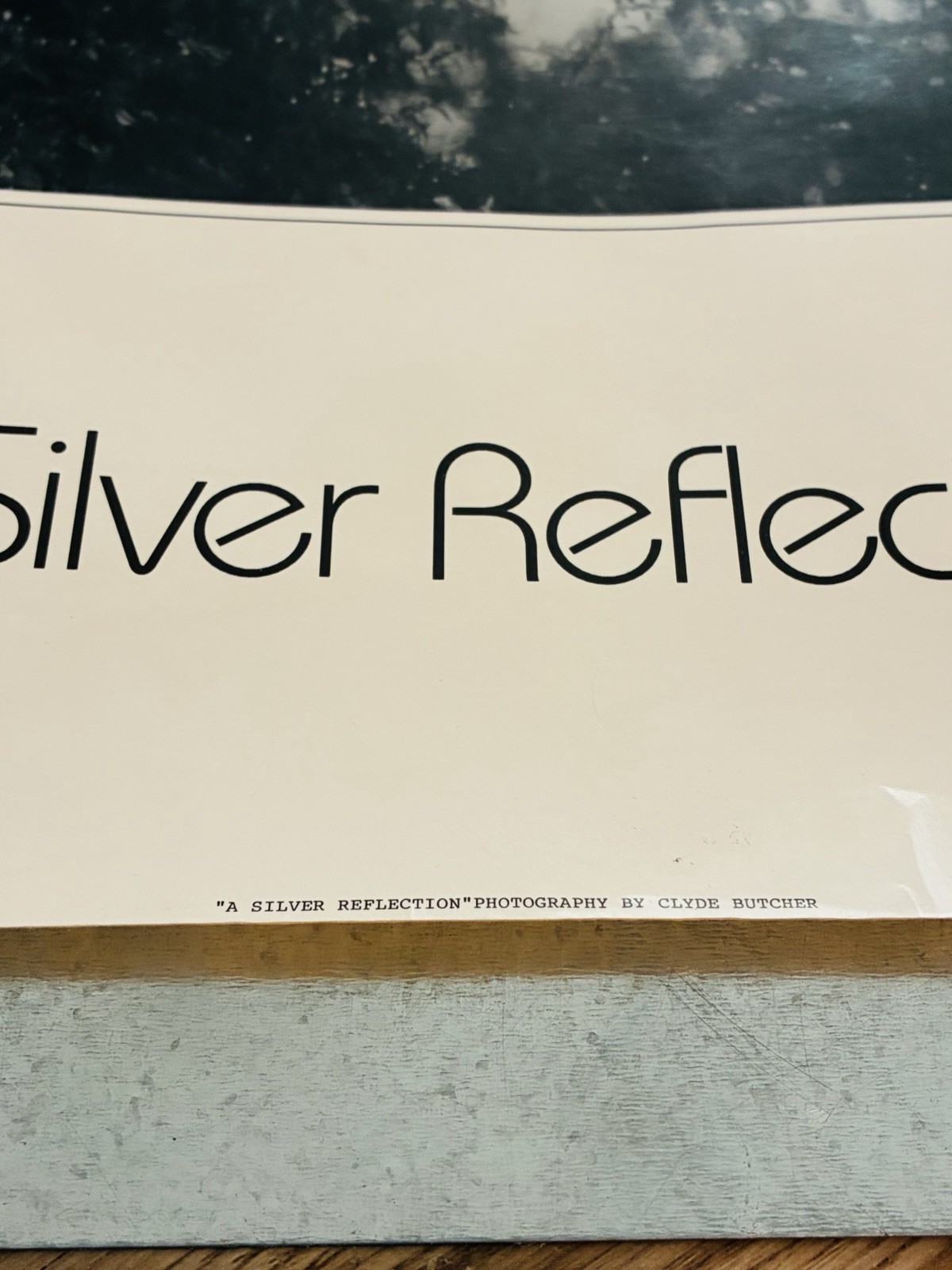 Clyde Butcher A Silver Reflection Poster Print On Heavy Card Stock 1989 Vintage